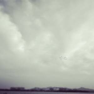 美女视频日逼视频
