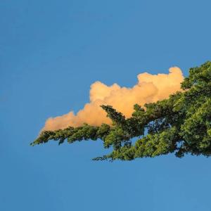 美女视频日逼视频
