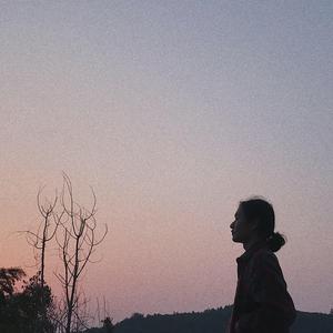 美女视频日逼视频
