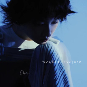 美女视频日逼视频
