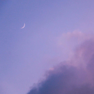 美女视频日逼视频
